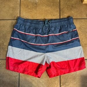 Striped Red and Blue Swim Shorts